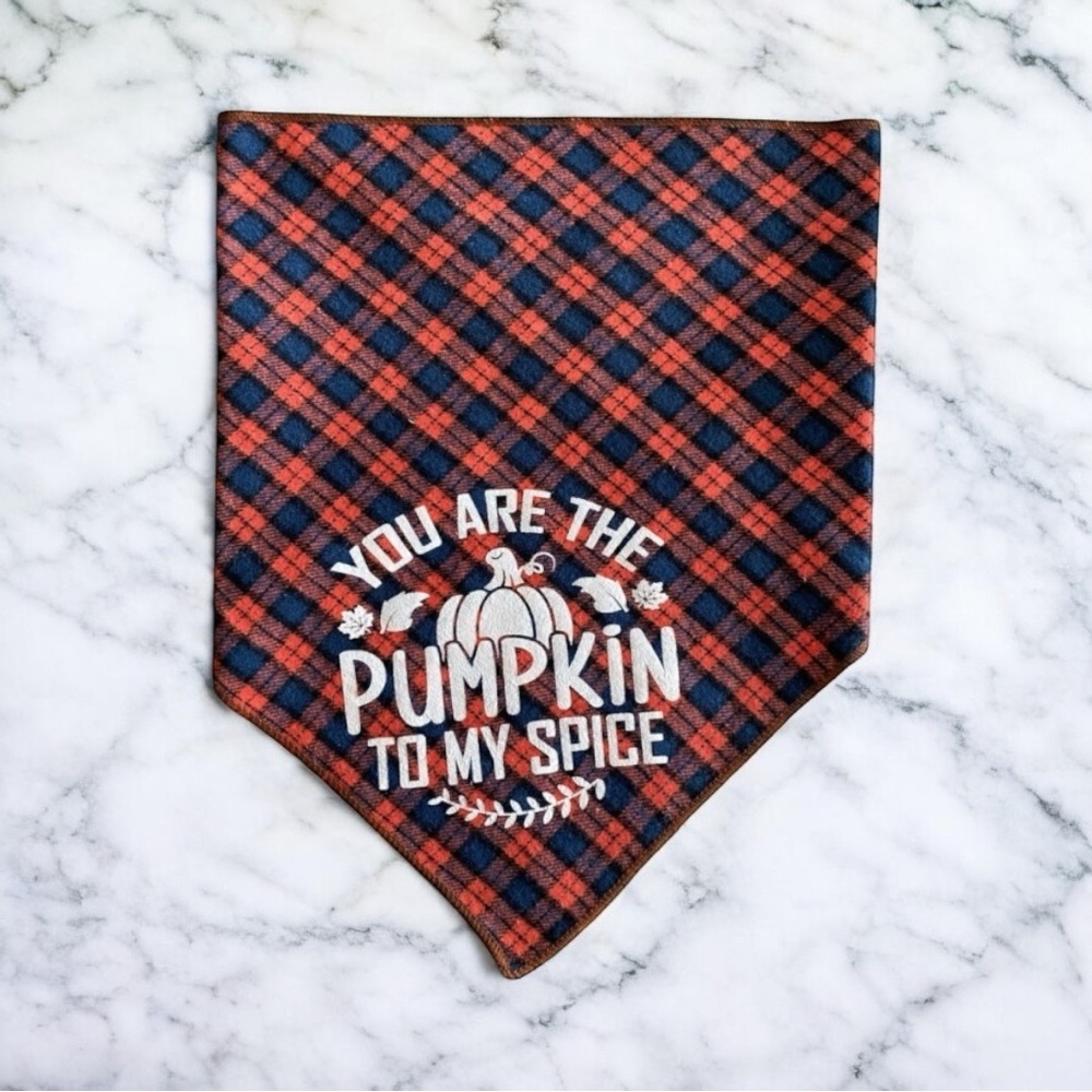 DOG Bandana - You Are The Pumpkin To My Spice - Size L Large